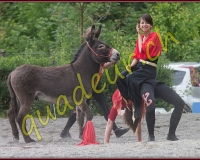 1YVOVAND611