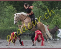 1YVOVAND623