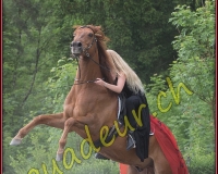 2YVOVAND064