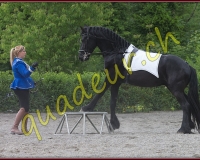 2YVOVAND068