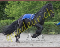 2YVOVAND078