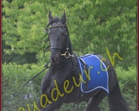 2YVOVAND080