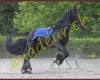 2YVOVAND083