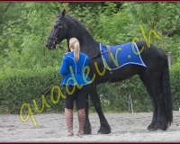 2YVOVAND085