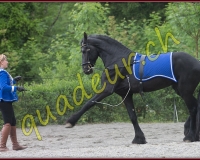 2YVOVAND088