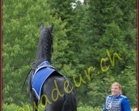 2YVOVAND103