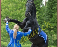 2YVOVAND117