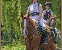 1YVONAND033