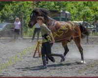 1YVONAND127