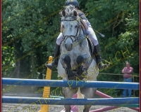 2YVONAND062
