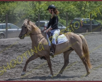 2YVONAND089