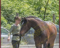 2YVONAND133
