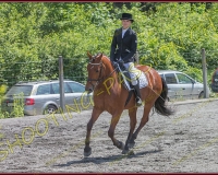 2YVONAND239