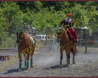 2YVONAND270