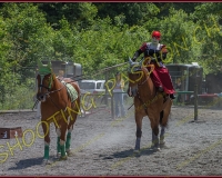 2YVONAND271