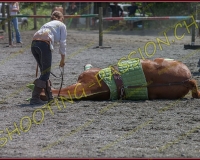 2YVONAND274