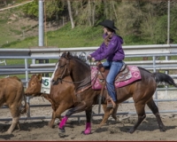 1REMAUFENS0264