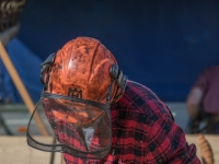 5D4A1499