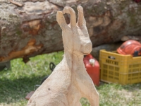 5D4A1645