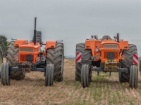 DSC01793-Modifier