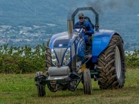 DSC03193-Modifier