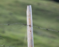 S9I0034