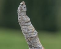 S9I0211