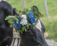 S9I0358