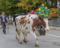 S9I1035