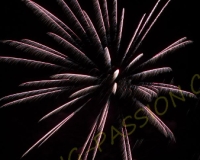 E6T0088