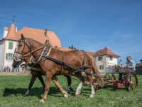 5D4A2750