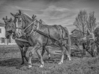5D4A2778 HDR pe