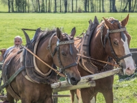 5D4A2787