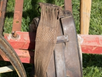 5D4A3003