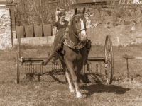 5D4A3299