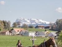 5D4A3341
