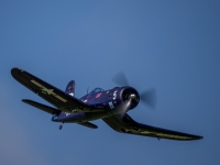 S9I0196