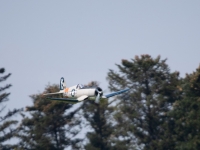 S9I0759