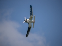 S9I0829