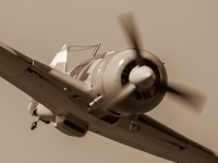 S9I1118