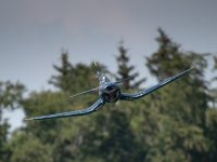 S9I1452