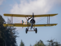 S9I1754