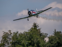 S9I2333