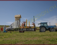 1CORTEGE085