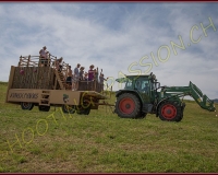 1CORTEGE286
