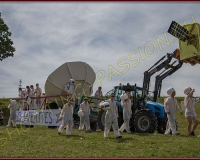 1CORTEGE334