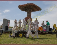 1CORTEGE547