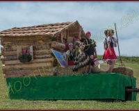 3CORTEGE231
