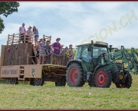 3CORTEGE236