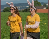 4CORTEGE178
